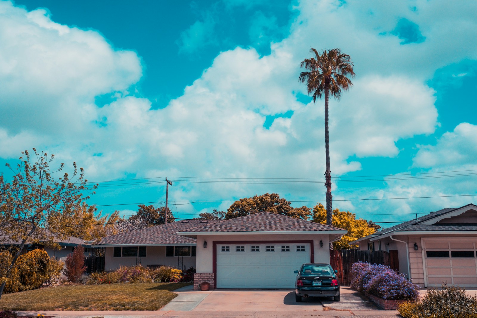 California home with a white sectional garage door and a palm tree
